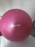 Roze Fitnessbal 65cm, Sport en Fitness, Fitnessmaterialen, Ophalen, Gebruikt, Buik, Fitnessbal