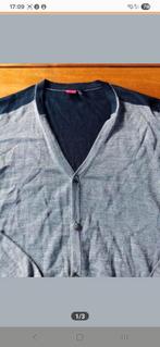 LIV vest - Grijs/Blauw - Maat L, Maat 52/54 (L), LIV, Ophalen of Verzenden, Zo goed als nieuw