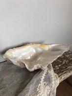 Doopvontschelp, Antiek en Kunst, Curiosa en Brocante, Ophalen of Verzenden