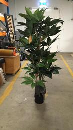 Te koop mooie kunstboom zijdeplant, Ophalen of Verzenden, Overige soorten, 100 tot 250 cm