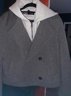 Zgan hoodie jas mt 38/40, Kleding | Dames, Ophalen, Zo goed als nieuw, Maat 38/40 (M), Grijs