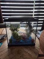 Klein aquarium met toebehoren te koop, Dieren en Toebehoren, Vis