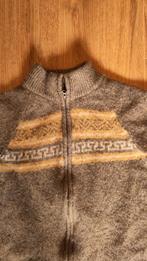 sherpa wollen vest heren, Kleding | Heren, Truien en Vesten, Ophalen, Zo goed als nieuw, Maat 46 (S) of kleiner, Grijs