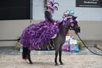 Geweldige allround kinderpony, Dieren en Toebehoren, Pony's, Gechipt, Ruin, Dressuurpony, M