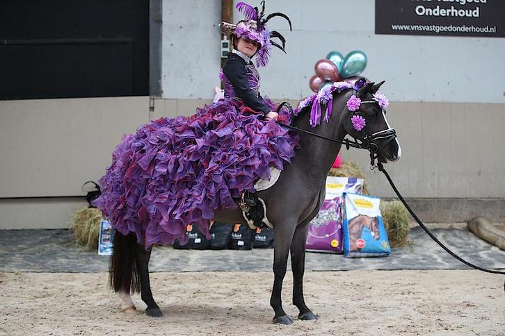 Geweldige allround kinderpony, Dieren en Toebehoren, Pony's, Ruin, M, B pony (1.17m tot 1.27m), Dressuurpony, 11 jaar of ouder