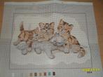 NIEUW Voorbedrukt stramien met 4 kittens. Verkoop ook DMC, Hobby en Vrije tijd, Ophalen of Verzenden, Nieuw, Handborduren, Onderdeel of Toebehoren
