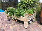 ACTIE Moestuin/ Houten balkon bakken 120x90cm, Verzenden, Gebruikt, Hout