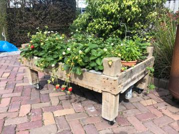 ACTIE Moestuin/ Houten balkon bakken 120x90cm beschikbaar voor biedingen