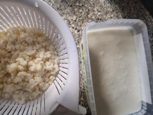 Melkkefir, heerlijk en gezond!, Diversen, Levensmiddelen, Ophalen