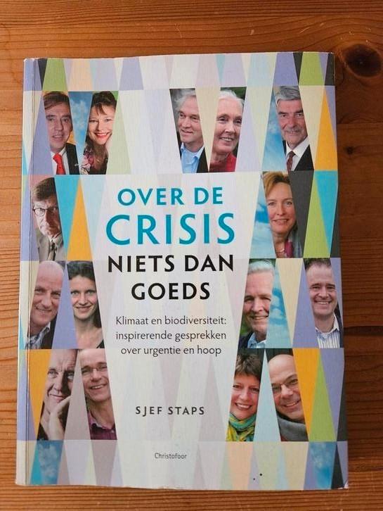 Sjef Staps - Over de crisis niets dan goeds, Boeken, Politiek en Maatschappij, Zo goed als nieuw, Nederland, Ophalen of Verzenden