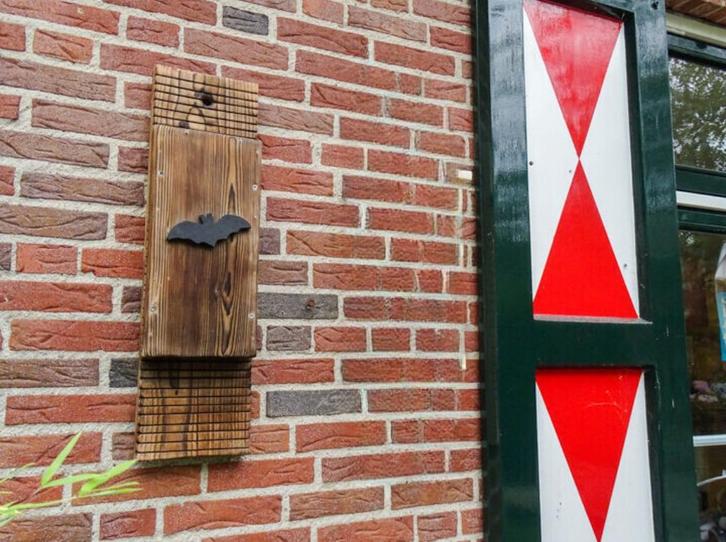 Vleermuiskast gebrand, Dieren en Toebehoren, Overige Dieren-accessoires, Nieuw, Ophalen of Verzenden