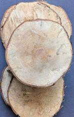 Herfstdecoratie. Berken boomschijven. 7 stuks. Ca.28 cm., Ophalen