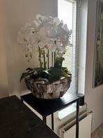 Opgemaakte Schelpenvaas met orchideeën, Ophalen, Zo goed als nieuw