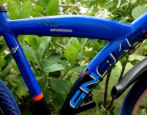 Batavus snake jongensfiets 26 inch met 3 versnellingen nexus, Fietsen en Brommers, Fietsen | Jongens, Zo goed als nieuw, 26 inch of meer