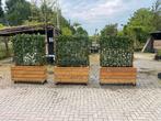 Plantenbakken op maat gemaakt veel mogelijk, Ophalen of Verzenden, Zo goed als nieuw, Hout, 60 cm of meer