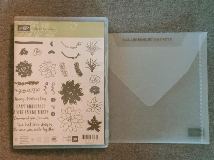 Stampin'Up Oh So Succulent Stempelset & Snijmallen, Hobby en Vrije tijd, Stempelen, Zo goed als nieuw, Overige typen, Ophalen of Verzenden