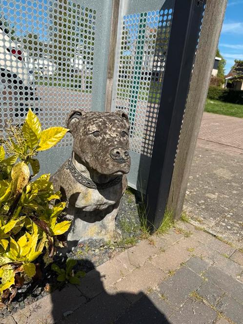 Hondenbeeld van beton - 60 cm hoog - blikvanger voor je tuin, Tuin en Terras, Tuinbeelden, Gebruikt, Ophalen