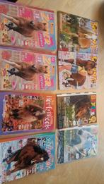 Penny, bixie tijdschriften pony 8x, Ophalen of Verzenden