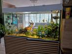 Aquarium Room Divider 122x45x65, Ophalen, Zo goed als nieuw