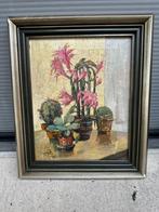 Schilderij cactussen, Antiek en Kunst, Ophalen
