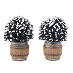 Luville:  Buxus in barrel, Ophalen of Verzenden, Nieuw