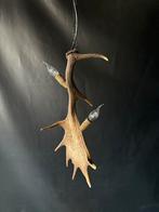 Geweienlamp.lamp.hanglamp.geweien.edelhert.damhert.brocante, Huis en Inrichting, Lampen | Hanglampen, Ophalen of Verzenden, Nieuw