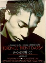 Terence Trent D’Arby. Intro..The Hard Line.Promo Poster 1987, Ophalen of Verzenden, Poster, Artwork of Schilderij, Zo goed als nieuw