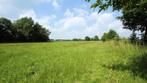 Stalling met weidegang gezocht Drenthe/Groningen, Weidegang