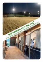 Wij hebben een stal vrij!, Dieren en Toebehoren, Stalling en Weidegang, Stalling, 1 paard of pony