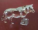 Swarovski wolf Nieuw, Verzamelen, Swarovski, Ophalen of Verzenden, Nieuw