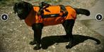 Hondenharnas Singing Rock Laika, Ophalen of Verzenden, Zo goed als nieuw, Klimsport-accessoire