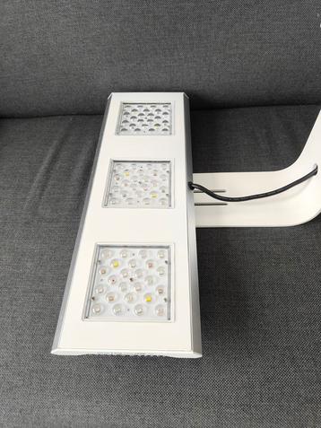 Reef Factory Reef Flare L White beschikbaar voor biedingen