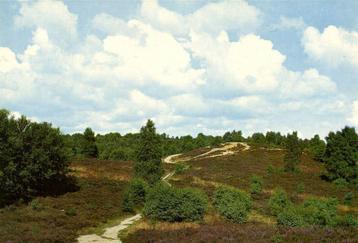 Groeten uit Dwingeloo - heide - 1972 gelopen beschikbaar voor biedingen