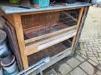 Konijnenkooi, Dieren en Toebehoren, Knaagdieren en Konijnen | Hokken en Kooien, Ophalen, Kooi, Gebruikt, 90 cm of meer