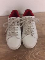 disney schoenen, Kleding | Dames, Schoenen, Ophalen of Verzenden, Sneakers of Gympen, Gedragen, Overige kleuren