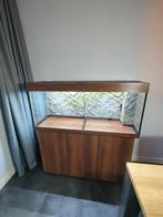 Prachtig Juwel RIO 240 aquarium; kan bezorgen evt., Dieren en Toebehoren, Vissen | Aquaria en Toebehoren, Ophalen, Gebruikt, Leeg aquarium