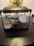 Vissenkom en bijbehoren, Dieren en Toebehoren, Vissen | Aquaria en Toebehoren, Ophalen, Zo goed als nieuw, Leeg aquarium
