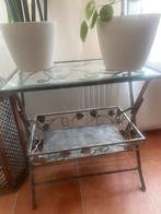 Unieke vintage Franse plantentafel krantenbak – jaren 50/60, Ophalen, Zo goed als nieuw, 25 tot 50 cm