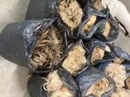 Ruwe schapen vachten te koop, Dieren en Toebehoren, Schapen, Geiten en Varkens, Vrouwelijk, Schaap