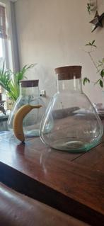 2 terrarium glazen potten voor planten, Huis en Inrichting, Zo goed als nieuw, Ophalen
