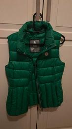 Gastra bodywarm, Kleding | Dames, Bodywarmers, Ophalen of Verzenden, Zo goed als nieuw, Blauw