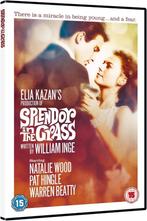 DVD SPLENDOUR IN THE GRASS NATALIE WOOD WARREN BEATTY, Verzenden, Alle leeftijden, Drama, Zo goed als nieuw