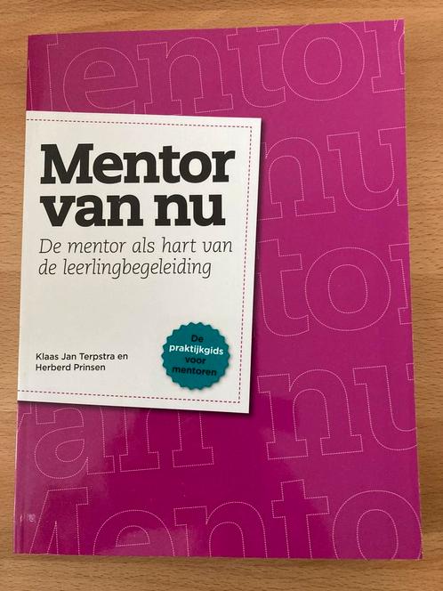 TERPSTRA PRINSEN - Mentor van nu, Boeken, Studieboeken en Cursussen, Zo goed als nieuw, HBO, Ophalen of Verzenden