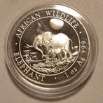 Somalië 100 shillings 2011 Olifant 1 OZ Zilver, Ophalen of Verzenden, Overige landen, Losse munt, Zilver