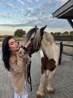 Liefste pony zoekt leaser!, Dieren en Toebehoren, Ophalen, Zo goed als nieuw