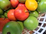 Decoratie appels, Ophalen of Verzenden, Nieuw