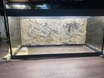 Aquarium 180 liter, Dieren en Toebehoren, Ophalen, Zo goed als nieuw, Terrarium of Paludarium