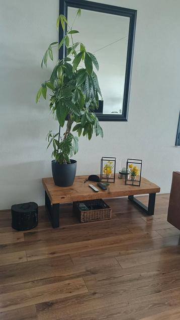 Stoere industriële salontafel  beschikbaar voor biedingen