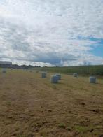 Mooi tweede snee hooi paard / pony / schaap miidi balen, Dieren en Toebehoren, Dierenvoeding, Ophalen, Vee