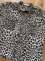 Blouse costes maat 36, Kleding | Dames, Bruin, Ophalen of Verzenden, Zo goed als nieuw, Costes